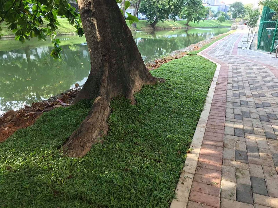 Canal Reservation View 2